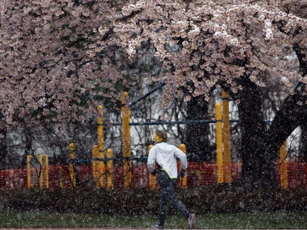 Snow in May? Not for 18 years in Massachusetts, but that could very well change this weekend.