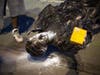The assault came amid a night of violence Tuesday that included the toppling of two statues outside the Capitol and an attack on a state senator. 