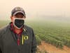 Jim Bernau, founder and winegrower of Willamette Valley Vineyards, speaks at his winery blanketed in smoke from wildfires on Thursday, Sept. 17, 2020, in Turner, Ore.