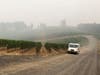 Western Wildfires Wine Crisis
