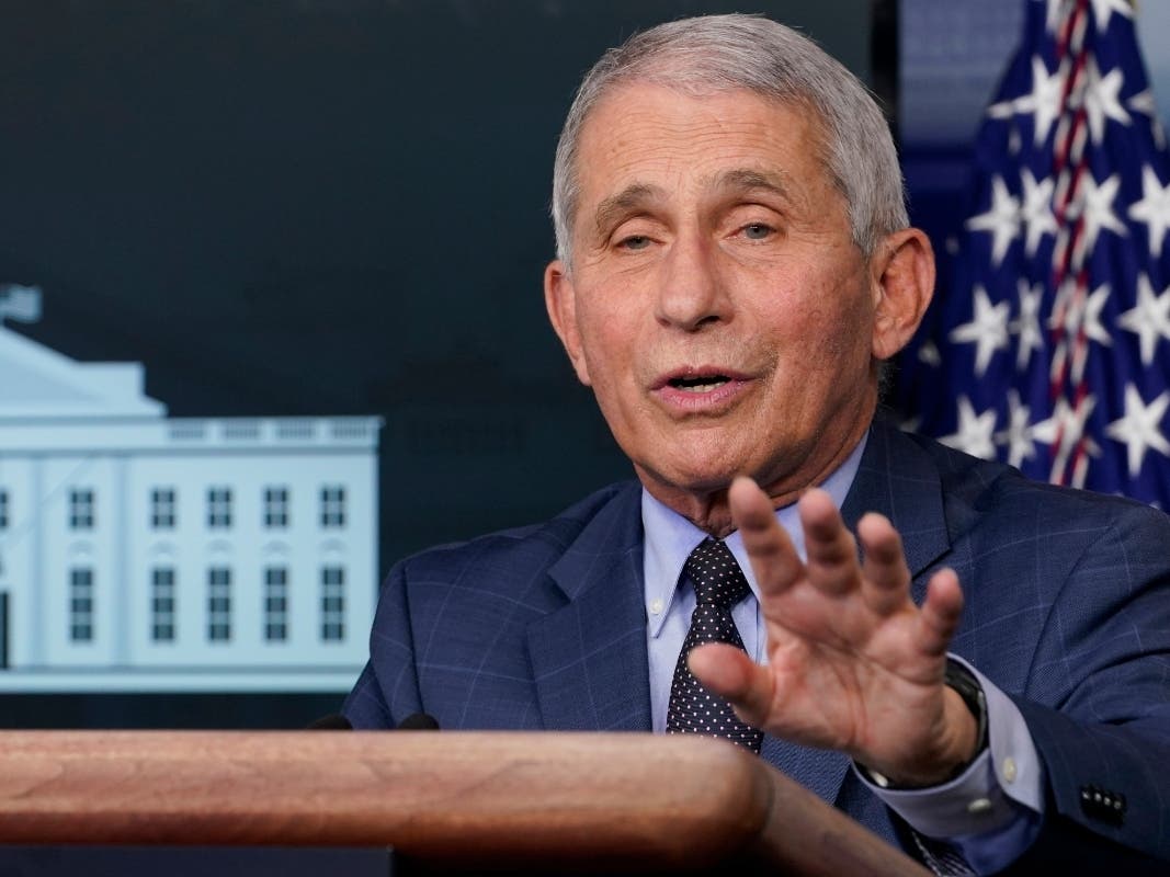 Dr. Anthony Fauci, director of the National Institute for Allergy and Infectious Diseases, speaks during a news conference with the coronavirus task force at the White House in Washington.