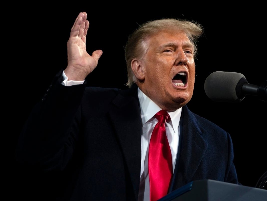 Twin Senate runoffs in Georgia on Tuesday will shape the final days of President Donald Trump's four-year term.