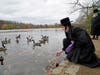 Garbed in traditional clothing worn by some Orthodox Jews, Zvi Kurtz offers food to resident geese and a mallard as the waterfowl swim in Prospect Lake in Prospect Park, Sunday, Nov. 15, 2020, in the Brooklyn borough of New York.