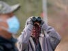 Birdwatchers Joe Dahran, left, and Terry Vonploennies search for birds, Thursday, Jan. 14, 2021, at Brooklyn's Prospect Park in New York.