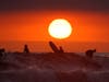 In this Thursday, April 30, 2020, file photo, Surfers ride as the sun goes down the day before the beach is scheduled to close during the coronavirus outbreak in Newport Beach, Calif. 