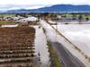 In this photo taken from a drone, farm fields and a road remain flooded near Sumas, Wash., Monday, Nov. 29, 2021.