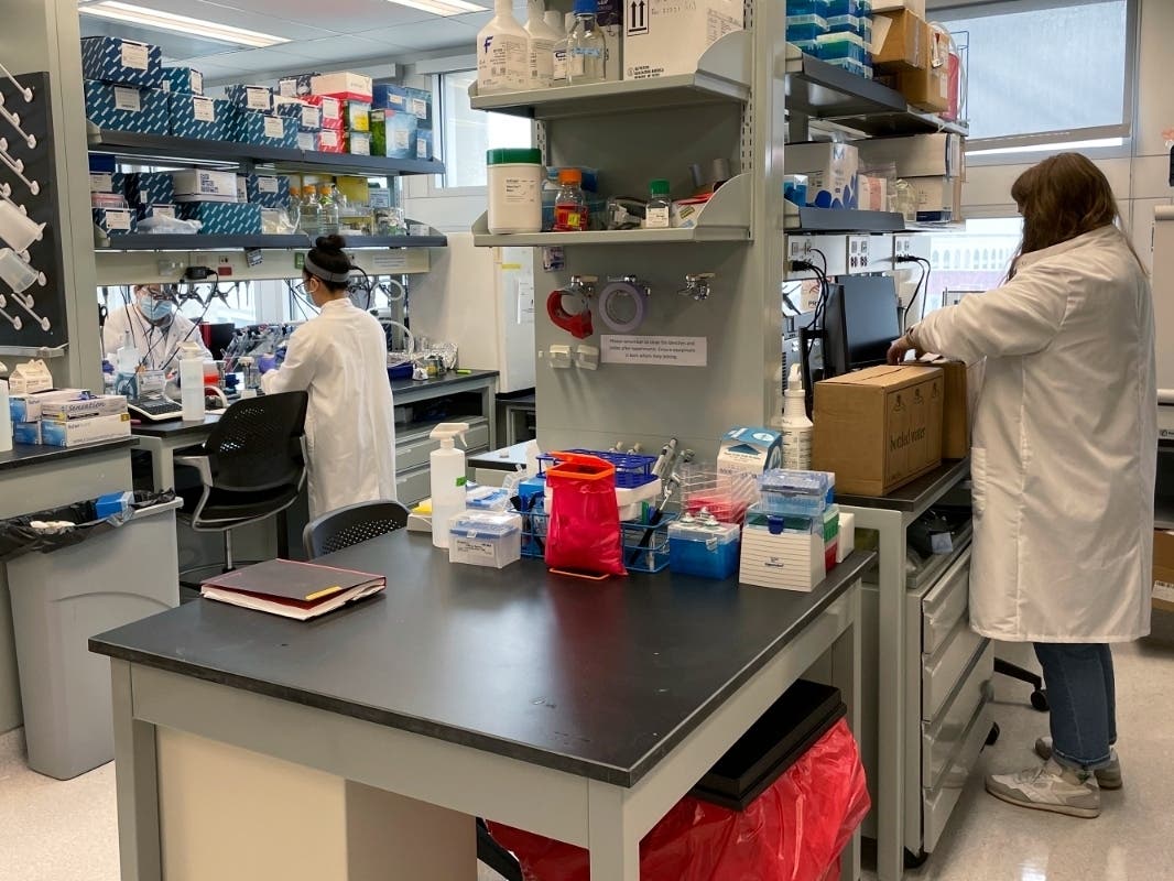 From right, graduate program students Emma Lancaster, Emily Lu and Fan He work to extract remnants of COVID-19 in wastewater samples Wednesday at a school lab at the Ohio State University in Columbus, Ohio. 