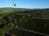 Napa Valley Aloft balloons, make their way toward a landing spot by a vineyard in Napa, Calif., Monday, June 19, 2023.