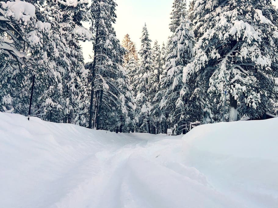 A street is covered in snow on Wednesday, Feb. 18, 2026 in Truckee Calif. 