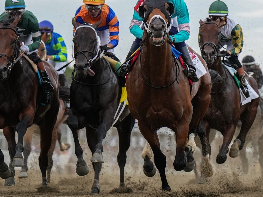 Taj Mahal and other horses compete during the 151st running of the Preakness Stakes on May 16 at Laurel Park.