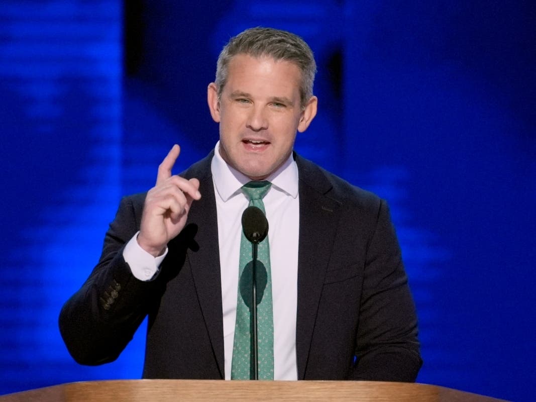 FILE - Former Republican Rep. Adam Kinzinger, of Illinois, speaks during the Democratic National Convention, Aug. 22, 2024, in Chicago.