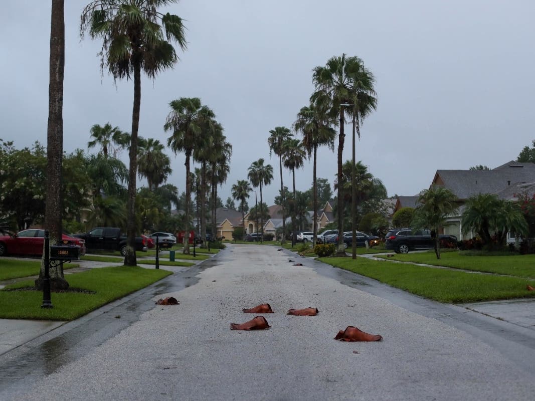 Palm leaves lay on the ground following heavy rain and wind from Tropical Storm Elsa, Wednesday, July 7, 2021 in Westchase.