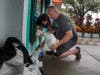 Rhett Moland, 43, and Nikki Lewis, 49, owners of Country Craft Studio in Gulfport sandbag their business Wednesday in preparation for Tropical Storm Eta. 