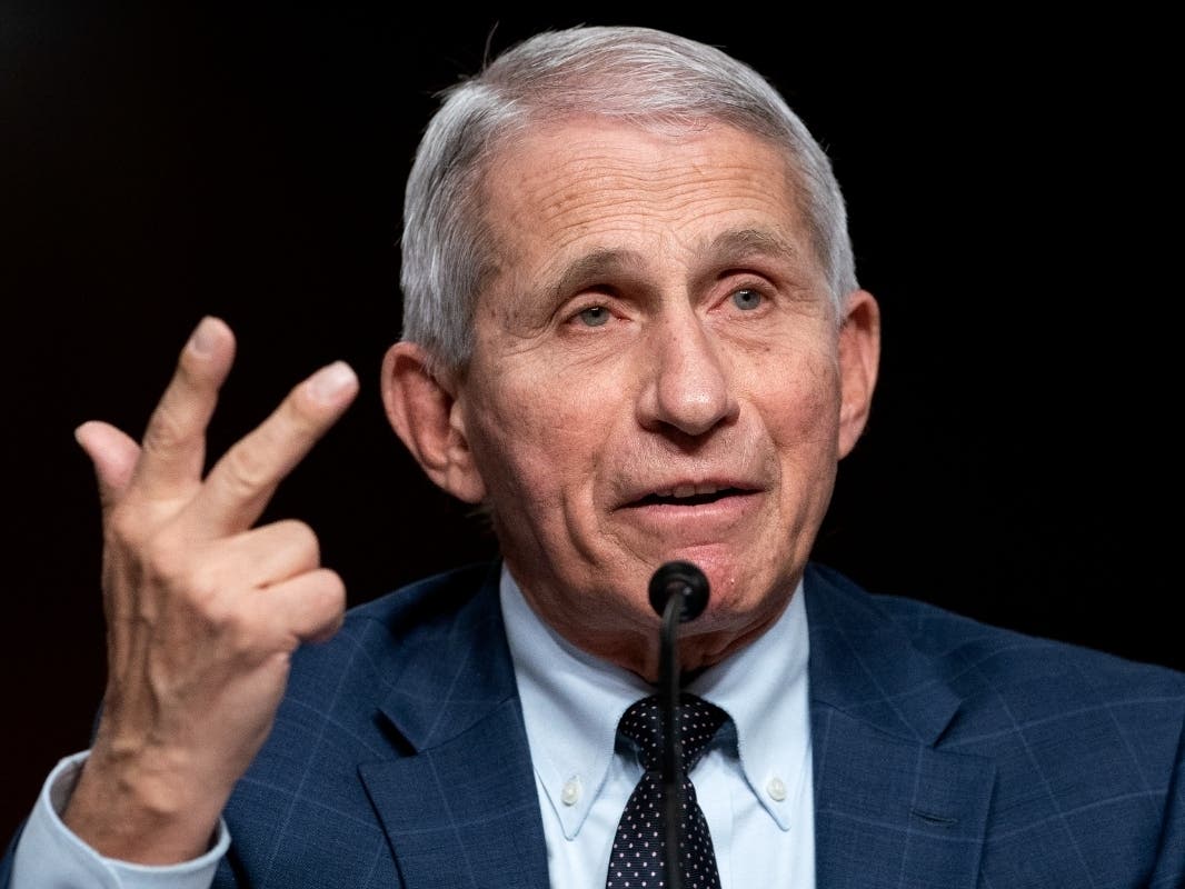 Dr. Anthony Fauci testifies before a Senate Health, Education, Labor, and Pensions Committee hearing, Jan. 11, 2022 on Capitol Hill in Washington.