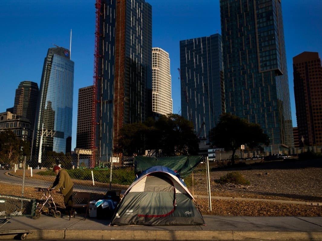  Los Angeles Homeless Services Authority officials said Friday that they need more volunteers to sufficiently tally the county's homeless population.