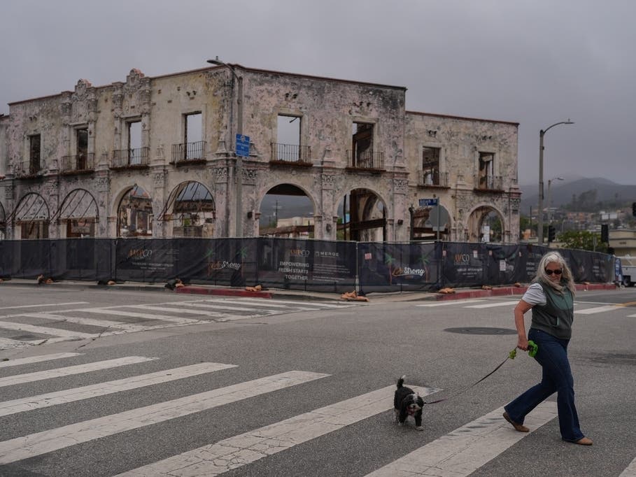 D. Berryman walks her dog, Tiny Dancer, past a fire-damaged building more than a year after the Palisades Fire in the Pacific Palisades neighborhood of Los Angeles, Thursday, June 4, 2026.