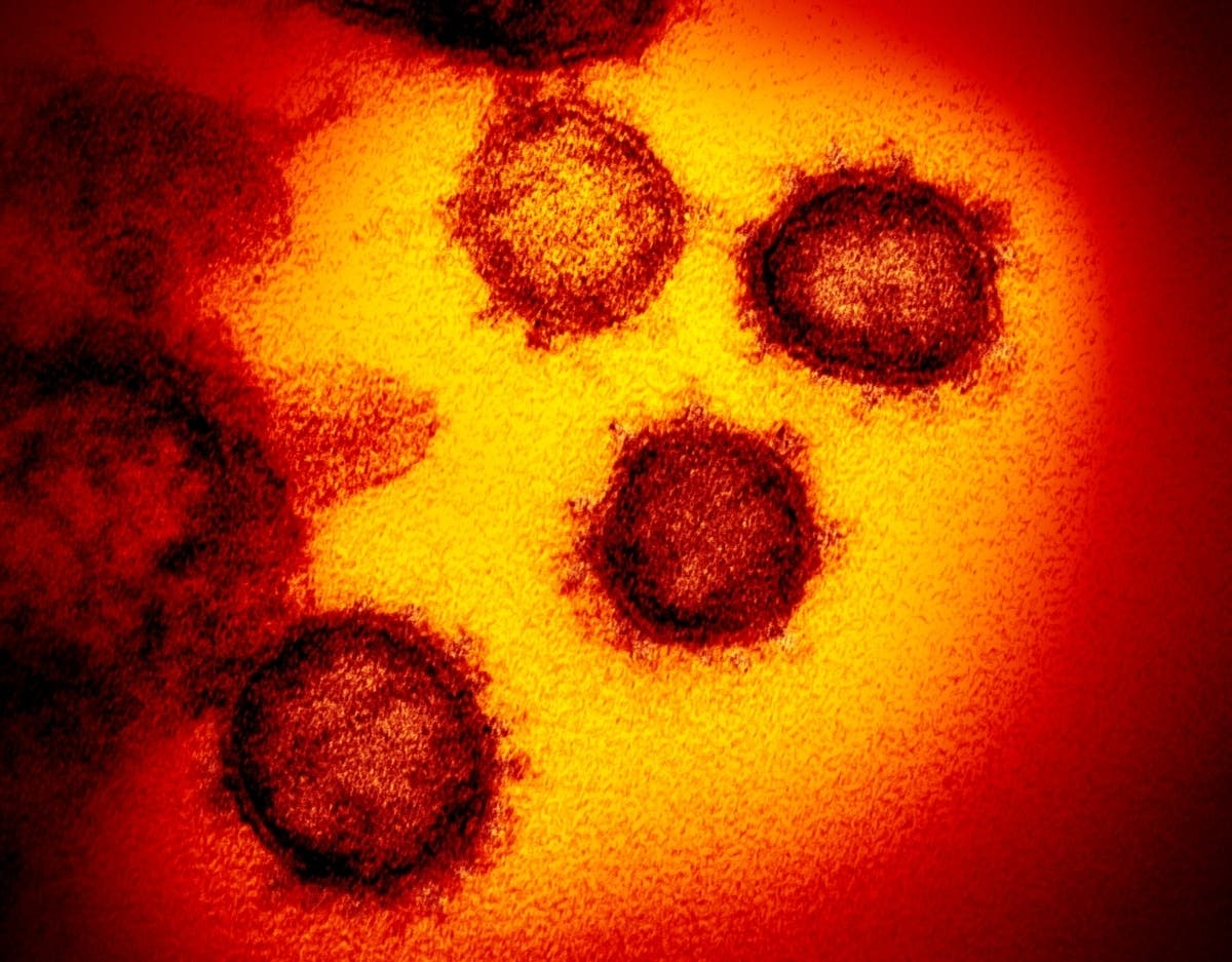 Pierce County reported its first known case of the COVID-19 virus Friday night.