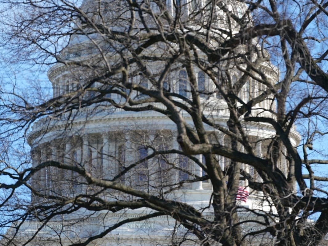 The U.S. Capitol dome stands above bare tree branches, Saturday, Jan. 9, 2021, in Washington.