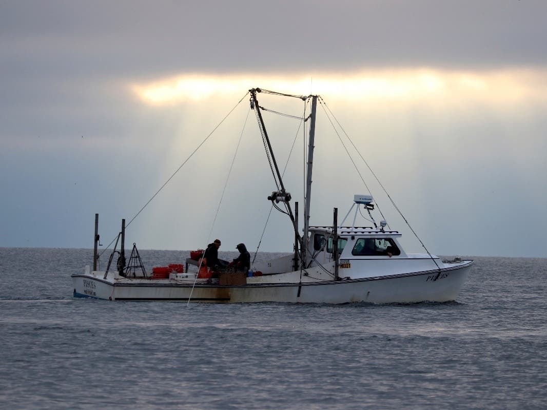 In this Nov. 19, 2019 photo, watermen dredge for oysters on the Chesapeake Bay in southern Maryland near Ridge. More than 1.7 billion juvenile oysters have been planted on sanctuary and public oyster fishery sites in Maryland’s Chesapeake Bay in 2023.