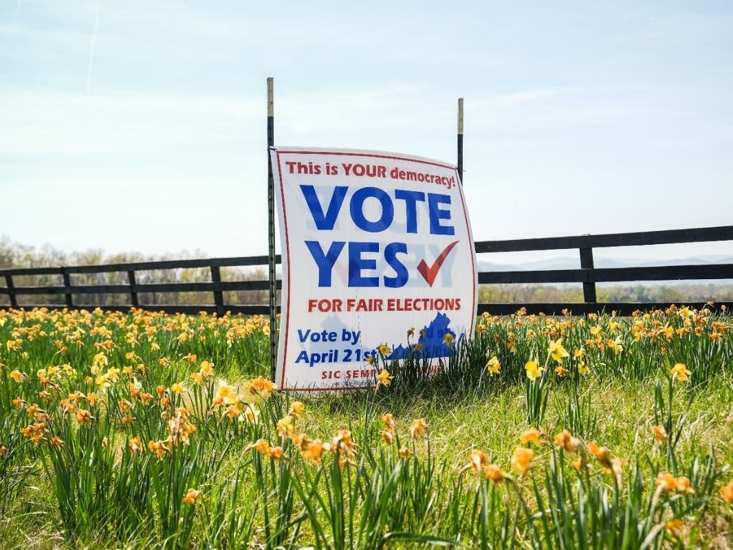 A sign supporting the Virginia redistricting referendum stands among flowers Friday, April 3, 2026, in Madison.