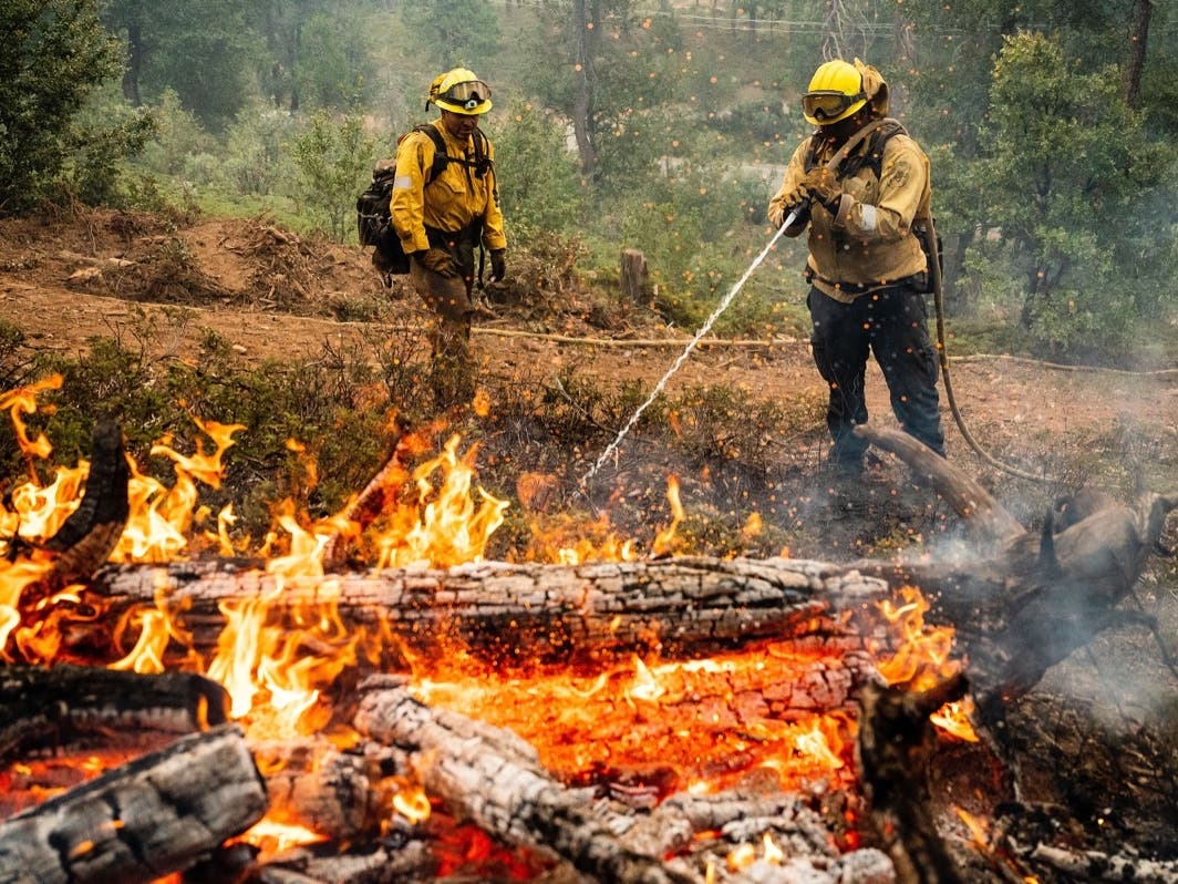 LPFD has joined fire departments around the Bay Area helping to fight the raging wildfire.