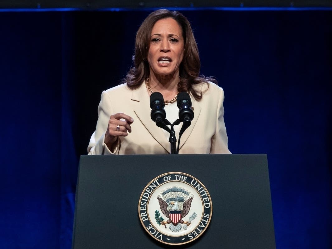 Vice President Kamala Harris speaks during the Unite Here Convention on Friday, June 21, 2024, in New York.