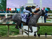 Napoleon Solo Wins The 151st Preakness Stakes At Laurel Park: Photos
