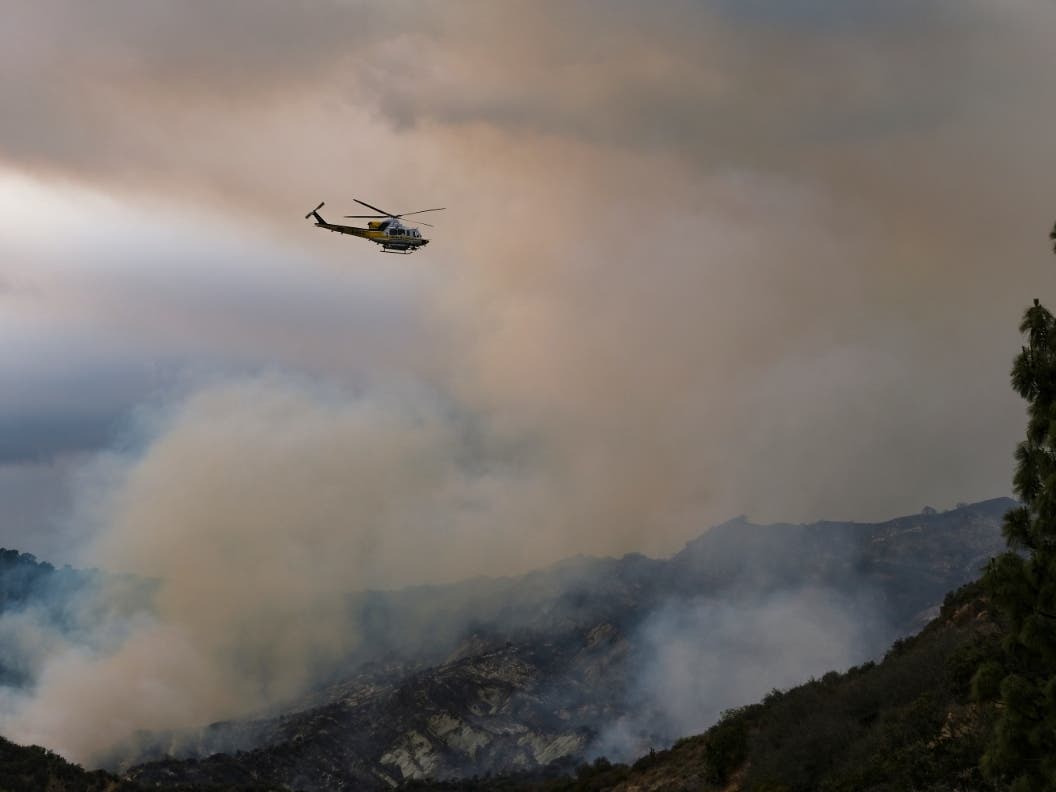Palisades Fire: Arson Arrest Made In Connection With Blaze - Vimarsana News