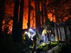 Firefighters enter a home as the glow from the CZU August Lightning Complex Fire fills the night sky Friday, Aug. 21, 2020, in Boulder Creek, Calif.
