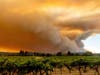 A plume billows over Healdsburg, Calif., as the LNU Lightning Complex fires burn on Aug. 20. Fire crews across the region scrambled to contain dozens of wildfires sparked by lightning strikes.