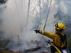 Firefighter Cody Nordstrom of the North Central Fire station at Kerman, Calif., monitors hot spots while fighting the CZU Lightning Complex Fire on Aug. 23 in Bonny Doon, Calif.