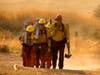 Members of hand crew walk in line during a wildfire in Yucaipa, Calif., Saturday, Sept. 5, 2020.