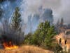 Los Angeles Fire Department firefighters work to douse brush fires in the Sepulveda Basin in the Sherman Oaks area of Los Angeles, Sunday, Sept. 6, 2020. 