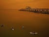 People in kayaks paddle in McCovey Cove outside Oracle Park during the sixth inning of a baseball game between the San Francisco Giants and the Seattle Mariners on Wednesday in San Francisco. 