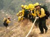 Members of the Mormon Hot Shots from Arizona lay hose line down rugged terrain off Highway 39 near Crystal Lake in front of the Bobcat Fire, which had burned more than 23,000 acres as of Thursday. 