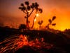 The wind whips embers from the trees burning in the Bobcat Fire in Juniper Hills, Calif., Friday, Sept. 18, 2020. 