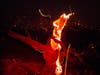 A tree is consumed by flames Friday in the Bobcat Fire in Juniper Hills, Calif. 