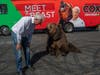 John Cox, Republican candidate for California governor, begins his statewide "Meet the Beast" bus tour on Tuesday with Tag, a Kodiak brown bear, at Miller Regional Park in Sacramento.
