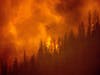 The windy fire burns along a ridge in Sequoia National Forest, Calif., on Monday, Sept. 20, 2021. 