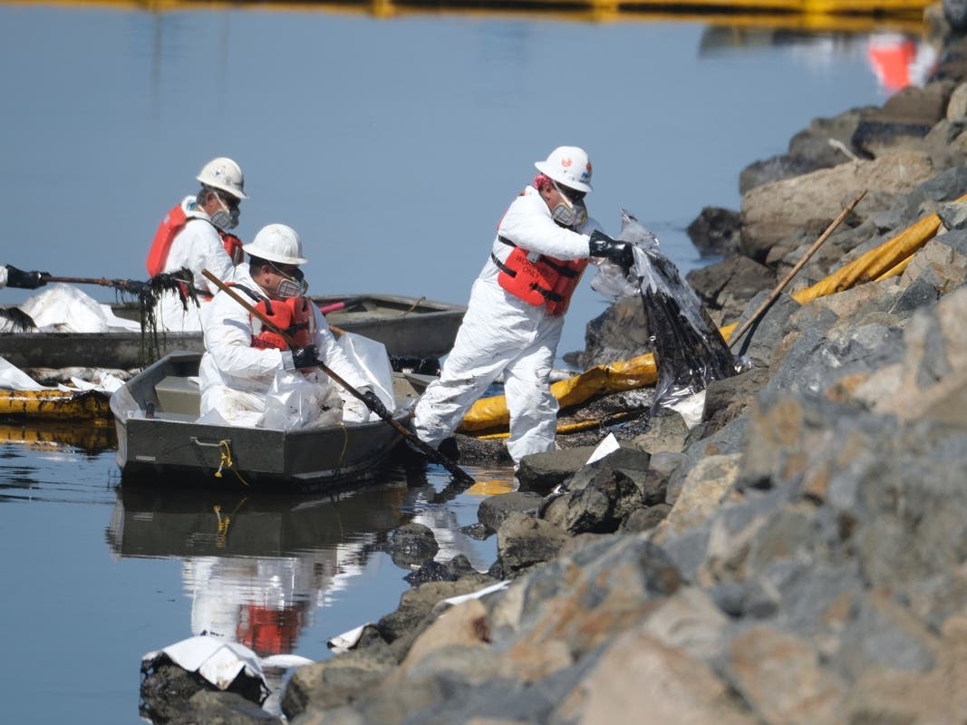 Cleanup contractors unload collected oil in plastic bags trying to stop further oil crude incursion into the Wetlands Talbert Marsh in Huntington Beach, Calif., Sunday, Oct. 3, 2021. 