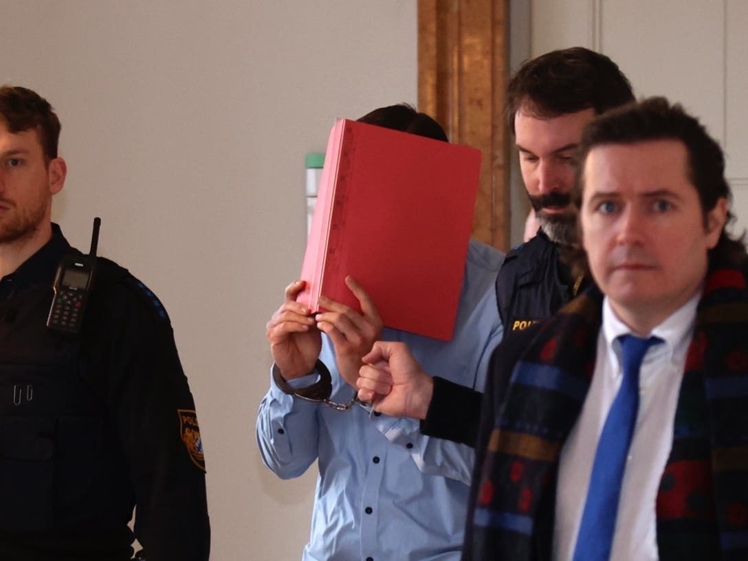 A metro Detroit man who was scheduled to take the stand in the rape and killing of an American tourist in Germany​ last summer admitted to the charges, according to an Associated Press report.