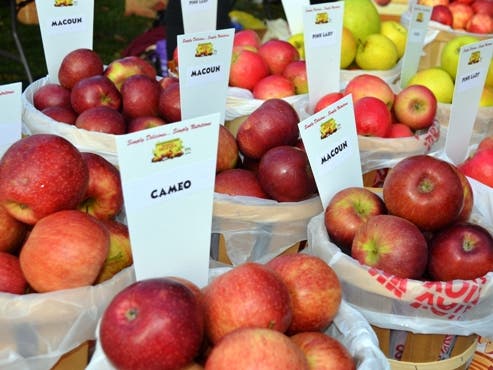 Fresh picked apples will be available at the two-day festival. 