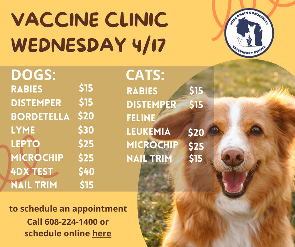 Apr 17 LowCost Vaccine Clinic Madison, WI Patch
