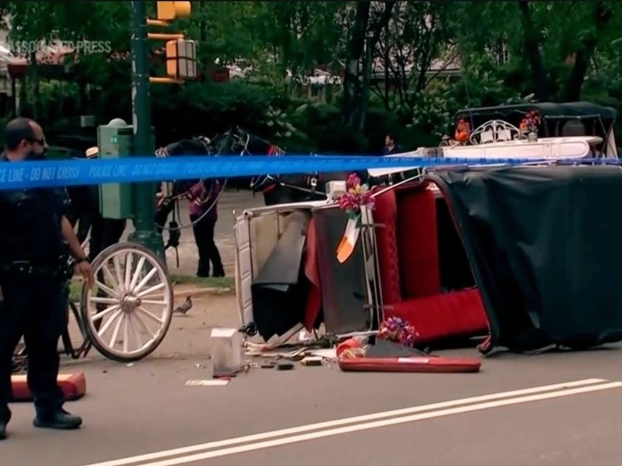 Police investigate the scene after a Central Park carriage horse bolted away from its driver killing a teenager from India on Wednesday, June 17, 2026 in New York.