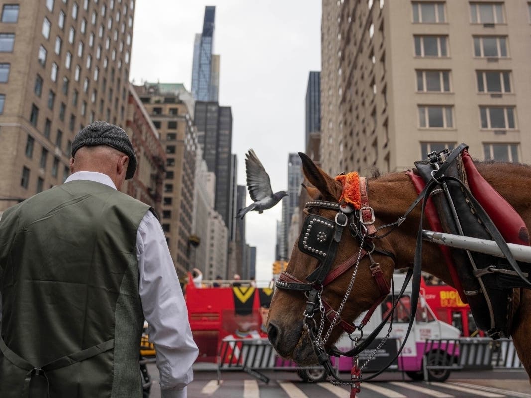 After more than 150 years of operating in Central Park, horse-drawn carriage rides are set to end in 2028 after the City Council approved legislation Thursday to phase out the industry.
