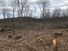 Sparta Mountain under the NJ Sponsored Forest Management Plan in your Publicly owned entrusted forest; paid for by your tax-dollars