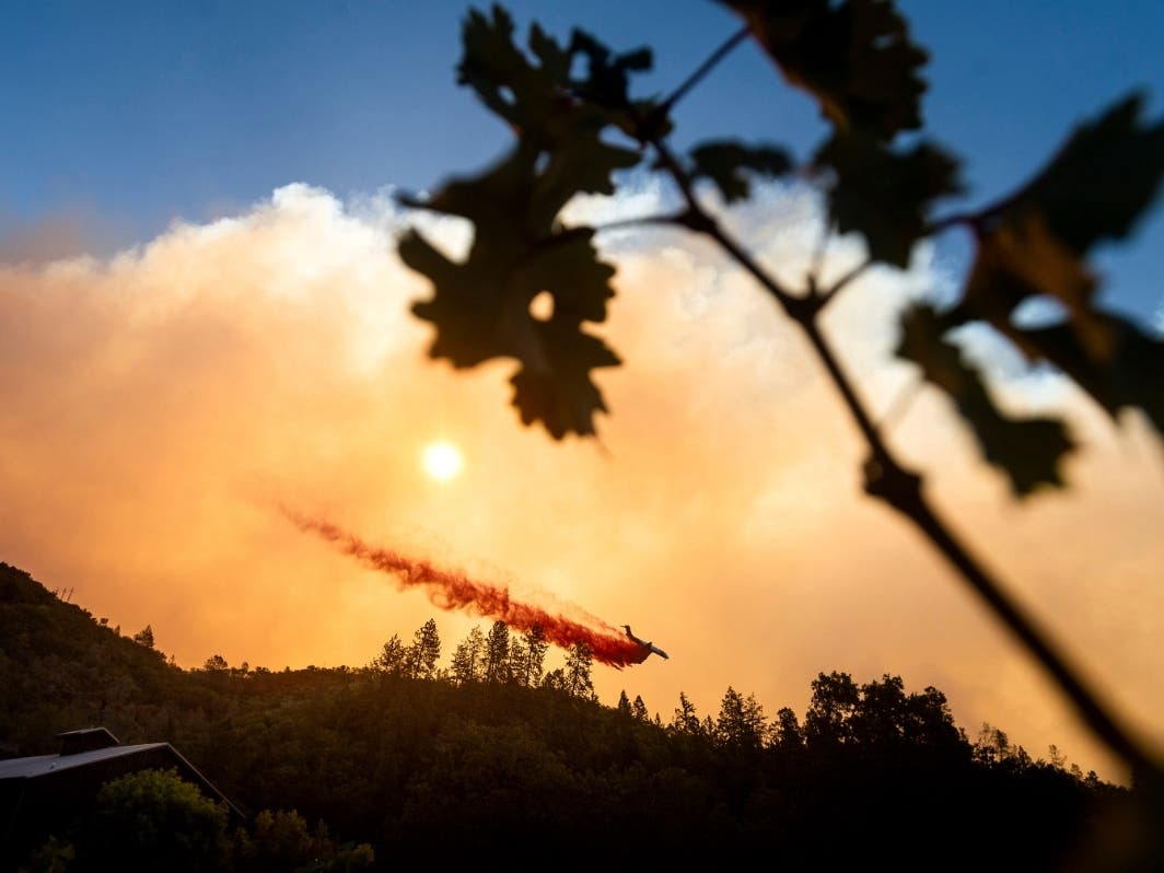 An air tanker drops retardant on the Glass Fire burning above Davis Estates winery in Calistoga, Calif., on Sunday, Sept. 27, 2020.