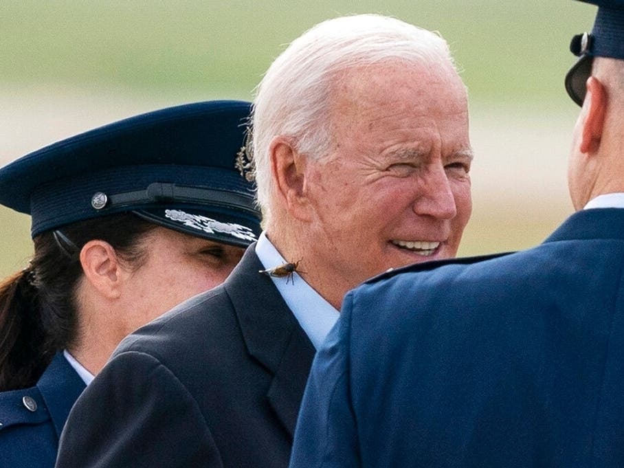 President Joe Biden, with a Brood X cicada on his shirt collar, walks to board Air Force One upon departure Wednesday at Andrews Air Force Base, Maryland.