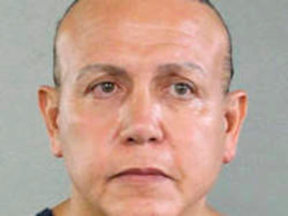 Cesar Sayoc pleaded guilty in federal court after he was accused of mailing bombs to President Donald Trump's critics.