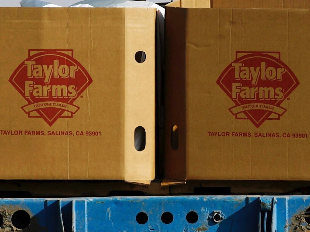Taylor Farms boxes are loaded on a field in the town of Doctor Mora, on the central state of Guanajuato, Mexico, March 26, 2008. 